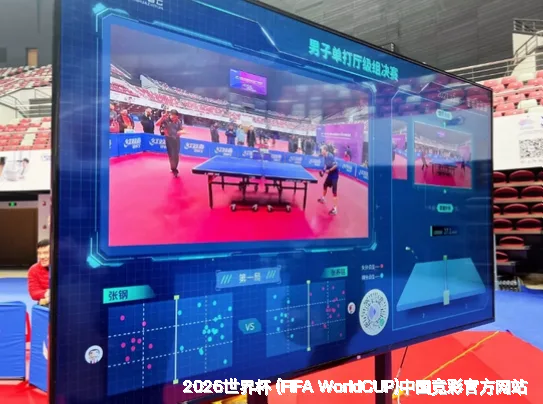历史命中率展示